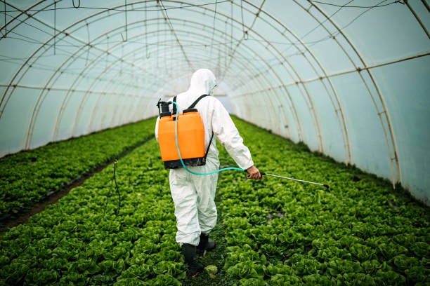 Best Residential Pest Control  in Easton, CA