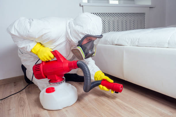 Best Cockroach Control Services  in Easton, CA