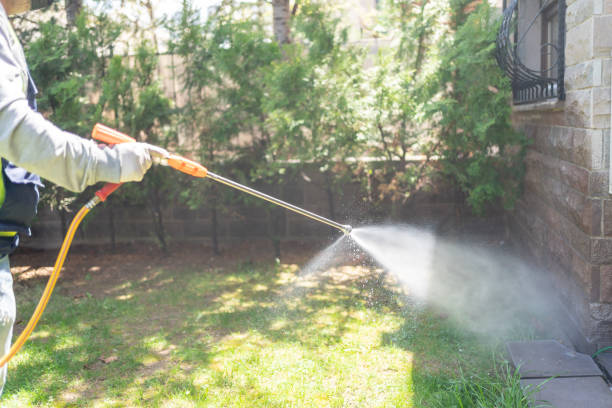 Best Affordable Pest Control Services  in Easton, CA