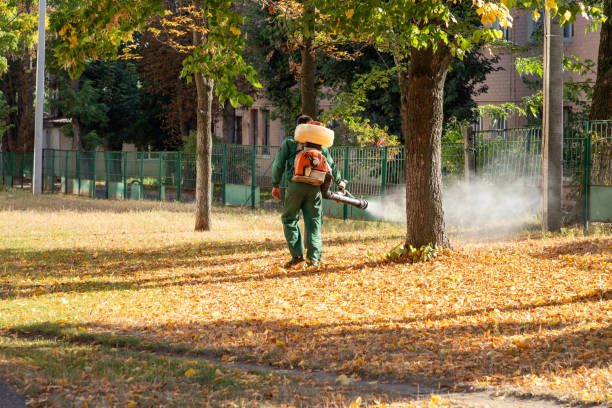 Best Local Pest Control Services  in Easton, CA